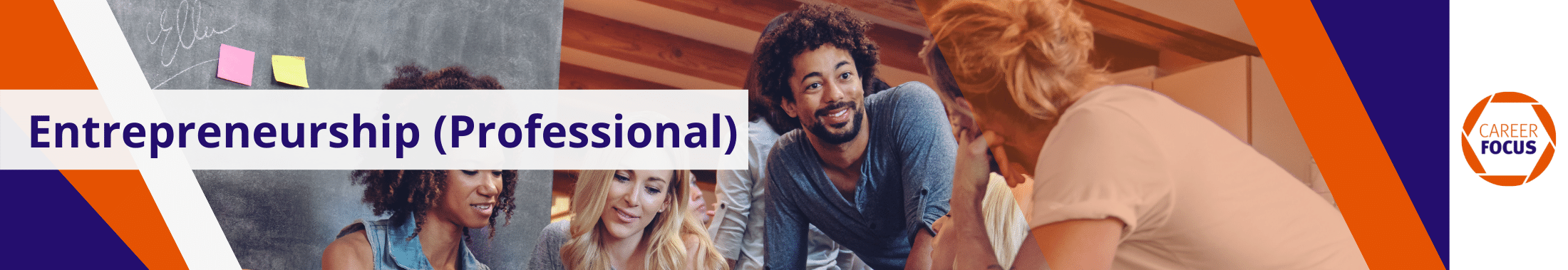 Entrepreneurship professional